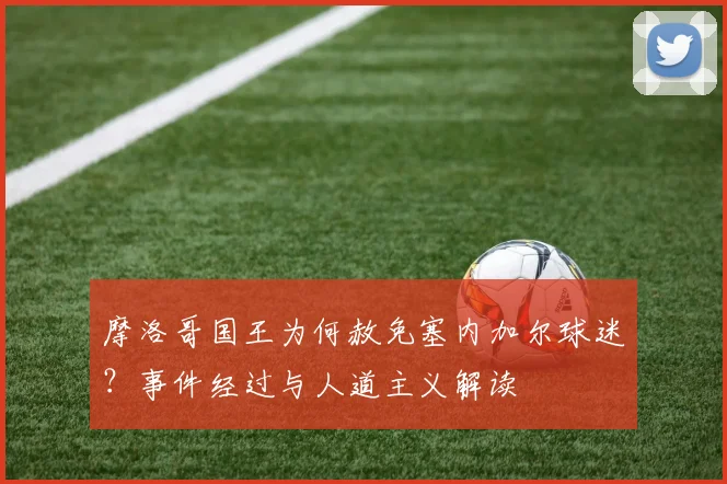 摩洛哥国王为何赦免塞内加尔球迷？事件经过与人道主义解读