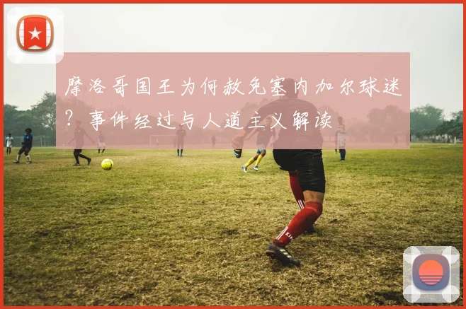 摩洛哥国王为何赦免塞内加尔球迷？事件经过与人道主义解读